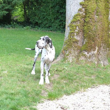 Corps De Ferme Dans Belle Propriete Avec Chiens Et Chevaux Βίλα Venizy Εξωτερικό φωτογραφία