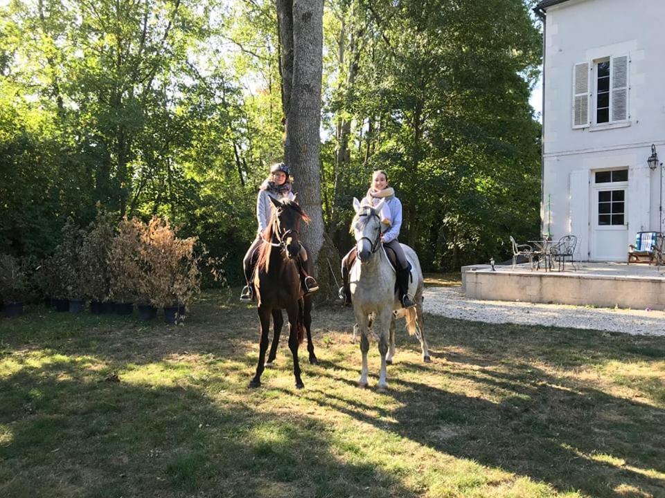 Corps De Ferme Dans Belle Propriete Avec Chiens Et Chevaux Βίλα Venizy Εξωτερικό φωτογραφία